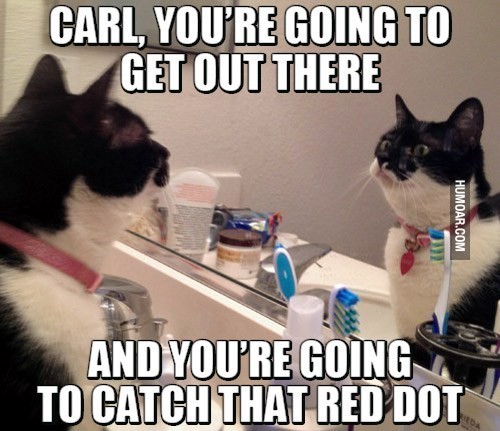 catch-that-red-dot