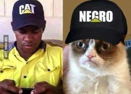 cat-negro-2