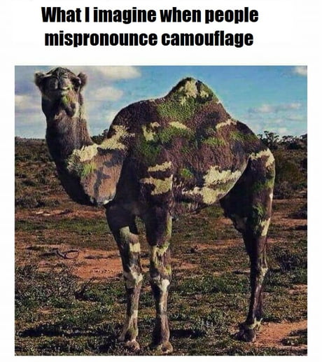 camel-flage