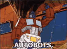 cat-rolls-out-like-the-autobots