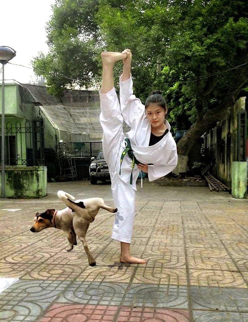 dog-peeing-on-karate-girl