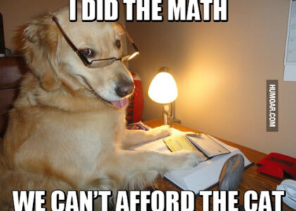 i-did-the-math-we-cant-afford-the-cat (1)