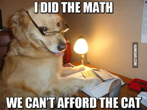 i-did-the-math-we-cant-afford-the-cat