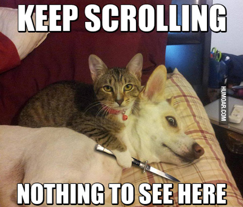 keep-scrolling-nothing-to-see-here
