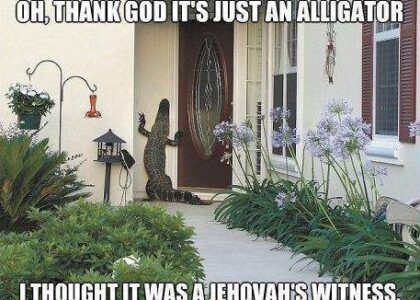 oh-thank-god-its-just-an-alligator-2