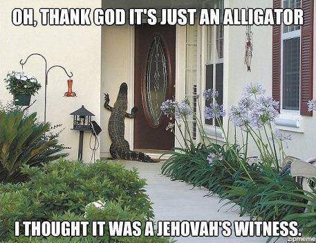oh-thank-god-its-just-an-alligator